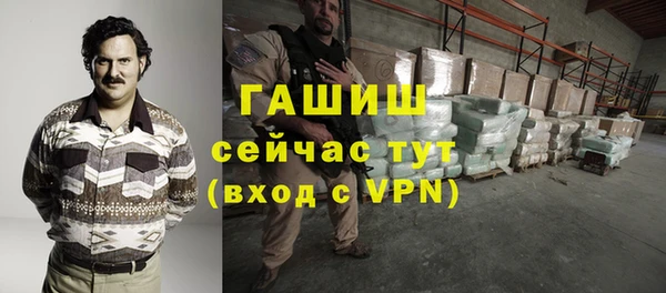 гидра Осинники