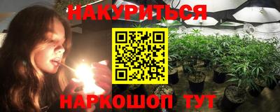 дживик Можга