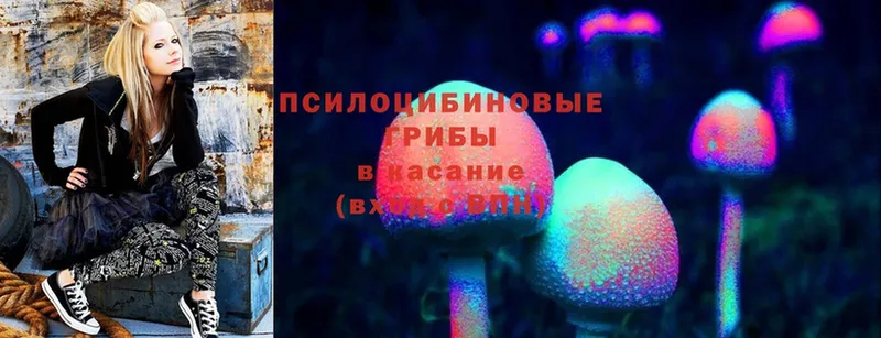 Галлюциногенные грибы Magic Shrooms Киржач