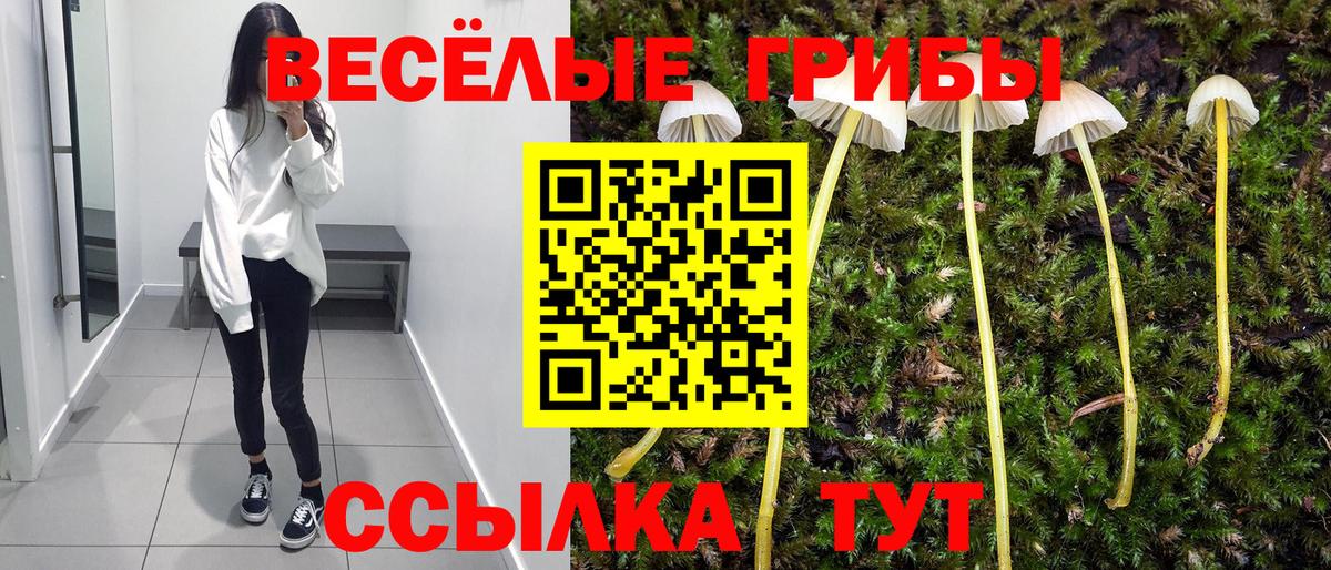 Галлюциногенные грибы MAGIC MUSHROOMS  Псилоцибиновые грибы MAGIC MUSHROOMS  Вход с VPN  Киржач 