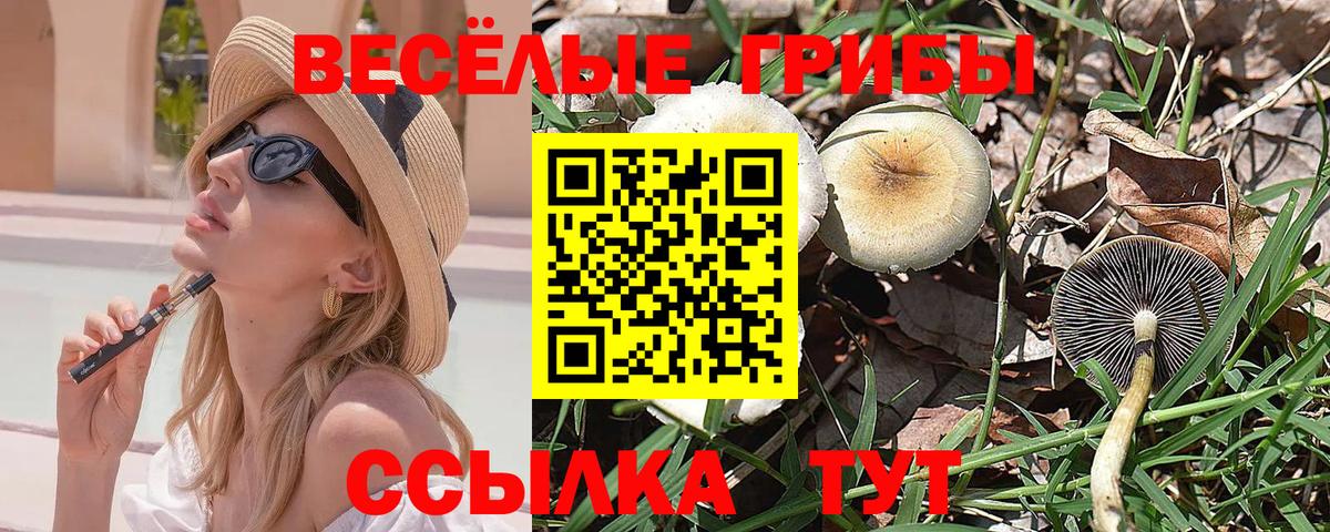 Псилоцибиновые грибы GOLDEN TEACHER  Киржач 