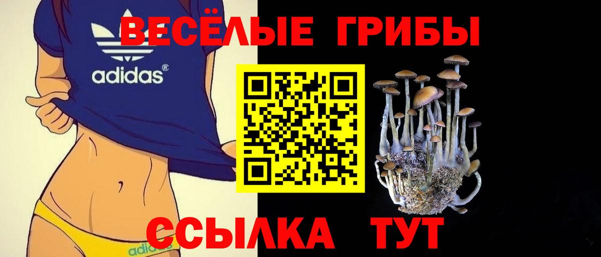 Альфа-ПВП  Гашиш  Где купить  Вход с VPN  Cocaine  Масло ТГК  MDMA  ГАШИШ  Киржач  Мяу-Мяу  Канабис 